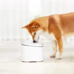 Xiaomi - Smart Pet Fountain UK - Image 3
